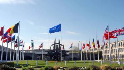 Политолог: учения НАТО у границ РФ с использованием РСЗО недопустимы