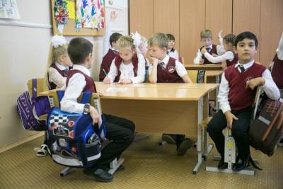 Школы Екатеринбурга не стали проводить уроки по Конституции, несмотря на анонс мэрии