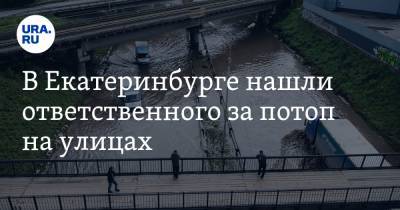 В Екатеринбурге нашли ответственного за потоп на улицах