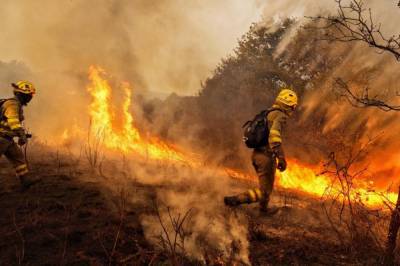 Из-за лесных пожаров в Испании эвакуировали более 3 тысяч человек