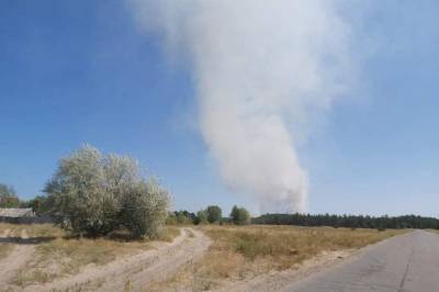 Вблизи Северодонецка загорелся лес: спасатели начали тушить пожар (фото)