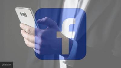 Facebook тиражирует антироссийские фейки: Альшевских о соцсетях Запада