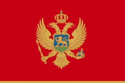 Оппозиция Черногории не намерена менять внешнеполитический курс