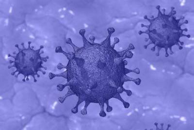 Вирусолог: миллион случаев заражения коронавирусом – это менее 1% населения России