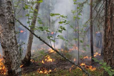 На Северном Кавказе в сентябре прогнозируют сложную пожароопасную ситуацию