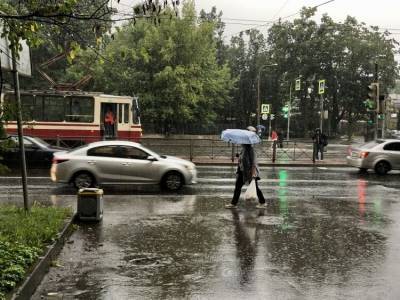 В Петербурге минувшим летом дожди шли более 40 дней