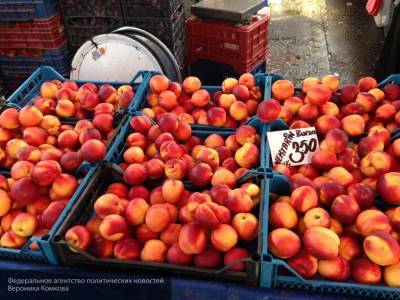 В Минсельхозе рассказали об опасности турецких зараженных фруктов