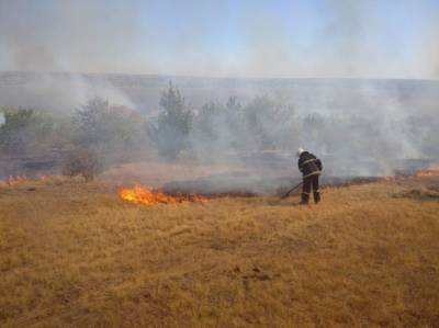 Во время тушения пожара на Луганщине сдетонировал боеприпас: ранен спасатель