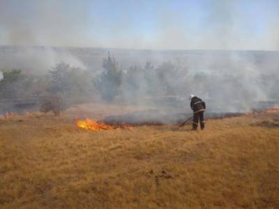 Возле Станицы Луганской лесной пожар вызвал множественные взрывы