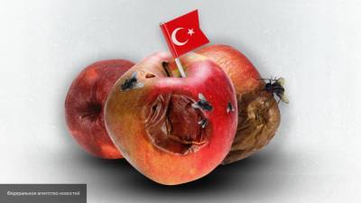 Четыре партии фруктов из Турции отправили на карантин в порт Туапсе