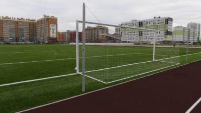 Александр Дрозденко проинспектировал новый футбольный стадион в Янино