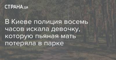 В Киеве полиция восемь часов искала девочку, которую пьяная мать потеряла в парке