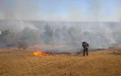 Возле Станицы Луганской произошел пожар, пострадал спасатель