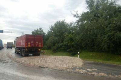 Во Львовской области водитель фуры засыпал дорогу мертвыми курицами