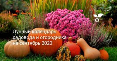 Лунный календарь садовода и огородника на сентябрь 2020