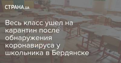Весь класс ушел на карантин после обнаружения коронавируса у школьника в Бердянске