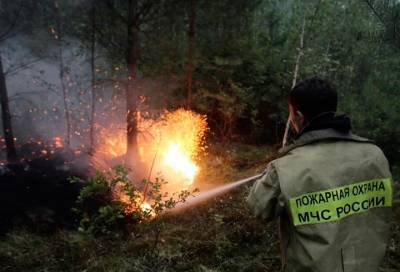 Специалисты предупредили о повышенном риске лесных пожаров в пяти округах
