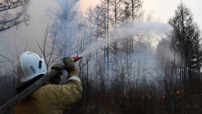 Лесопожарные службы потушили в России 20 природных пожаров за сутки