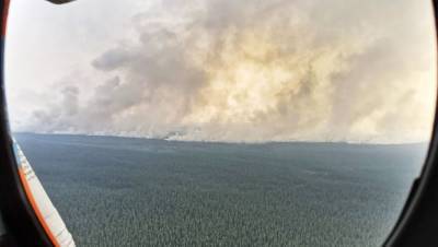 В России ликвидировали 20 природных пожаров за сутки