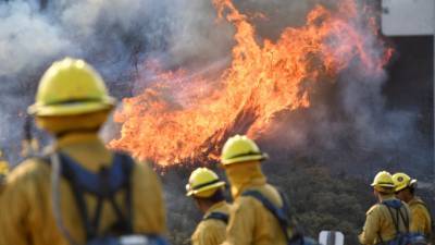 В США заявили о почти 100 крупных пожарах в трёх штатах