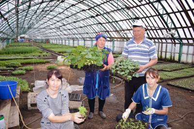 В Ульяновской области требуется овощевод. Зарплата – до 45000 рублей