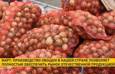 МАРТ: Производство овощей в Беларуси позволяет полностью обеспечить отечественный рынок