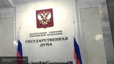 Госдума прокомментировала арест 65 самолетов за рейсы в Крым