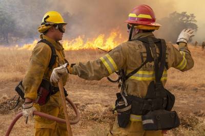 В результате пожаров в Калифорнии погибли 11 человек