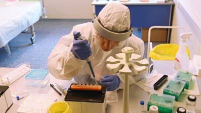 Более 39,5 млн тестов на коронавирус проведено в России