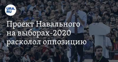 Проект Навального на выборах-2020 расколол оппозицию