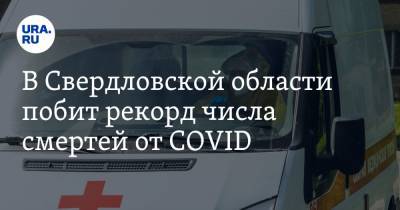В Свердловской области побит рекорд числа смертей от COVID