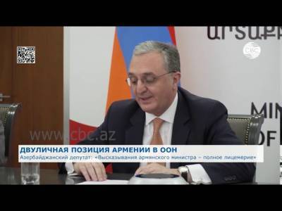 Слова главы армянского МИД – откровенное лицемерие. ВИДЕО