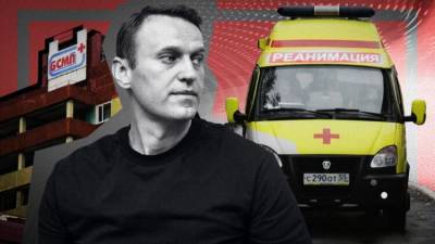 В Совфеде указали на некомпетентность ОЗХО в деле Навального
