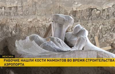 Рабочие нашли кладбище мамонтов во время строительства аэропорта в Мексике