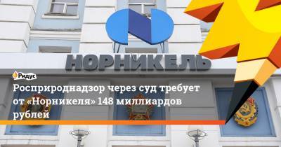 Росприроднадзор через суд требует от«Норникеля» 148 миллиардов рублей