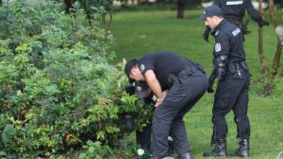 Ножи, арматура и зажигательные смеси – в столице Болгарии полиция находит необычные закладки