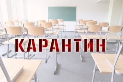 В гимназии №33 Костромы еще два класса закрыли на карантин по короновирусу