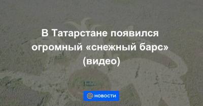В Татарстане появился огромный «снежный барс» (видео)