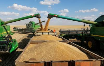 Полтора миллиона тонн зерна собрали нижегородские аграрии