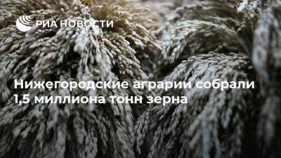 Нижегородские аграрии собрали 1,5 миллиона тонн зерна