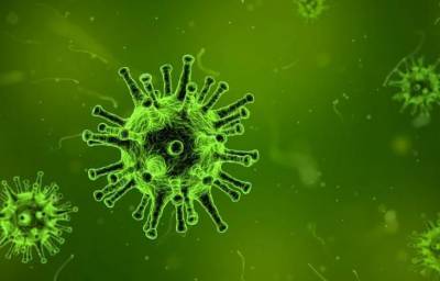Найден вирус, способный остановить эпидемию гриппа в 2020 году
