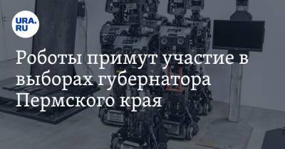 Роботы примут участие в выборах губернатора Пермского края. ФОТО