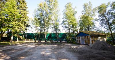 Андрей Кропоткин - В горсовете предложили открыть детские лагеря в осенние каникулы - klops.ru