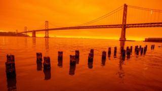 Оранжевое небо над Сан-Франциско. Пожары в США в фотографиях