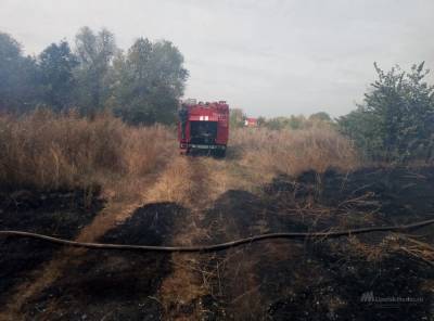 Особый противопожарный режим в Липецке и области продлён до конца сентября