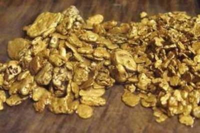 ФСБ задержала жителя Балея, перевозившего золото на 16,8 млн р.