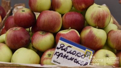 Крымские аграрии собрали более 14 тонн яблок, персиков и ягод