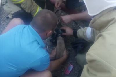В Тимашевске спасатели вынесли щенка из пожара и дали подышать ему кислородом