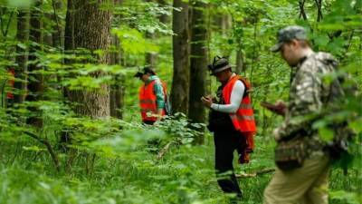 Женщина и ее шестилетний внук заблудились в лесу Ленобласти
