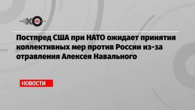 Постпред США при НАТО ожидает принятия коллективных мер против России из-за отравления Алексея Навального